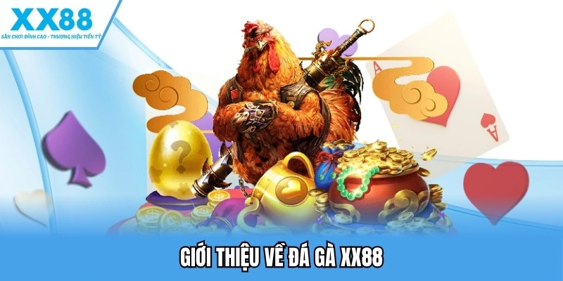 Đá gà XX88 1 Giới thiệu về đá gà XX88