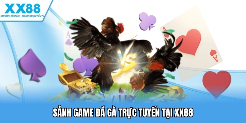 Đá gà XX88 2 Sảnh game đá gà trực tuyến tại XX88