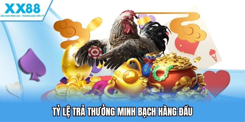 Đá gà XX88 5 Tỷ lệ trả thưởng minh bạch hàng đầu