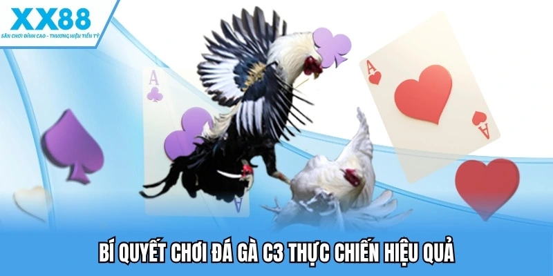 Đá Gà C3 - Vòng Tranh Tài Cam Go Giữa Các Chiến Kê Nảy Lửa 4 Bí quyết chơi đá gà C3 thực chiến hiệu quả